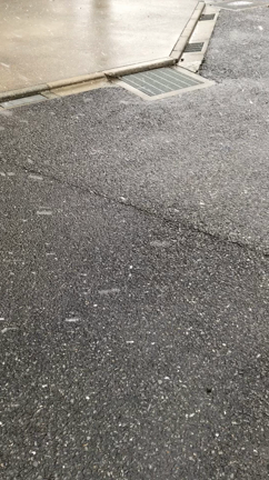 雪が降ってきましたの記事動画