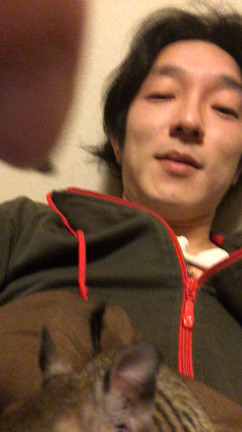 肩乗りデグーのティミーくんの記事動画