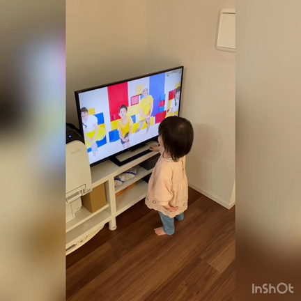 1y4m4d スポンジの記事動画