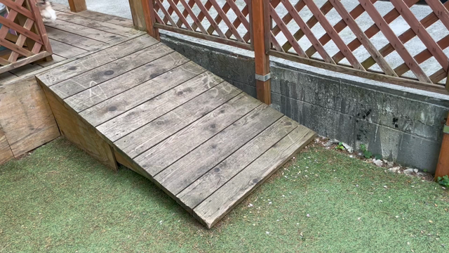 28日目　ぱせり　ドリフトを習得すの記事動画