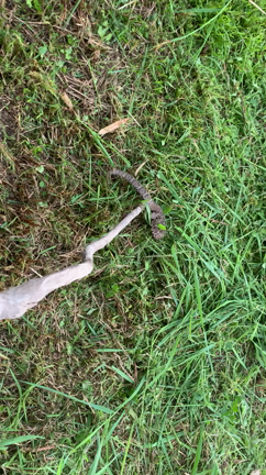 ・宇佐市畳運び入れ作業お手伝い。・宇佐市草刈り作業。の記事動画