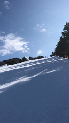 雪を求めての記事動画
