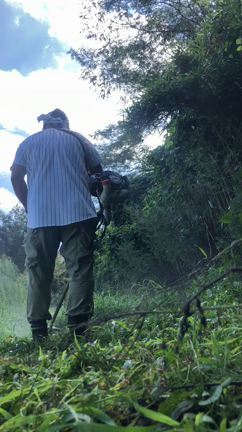 雑草の記事動画