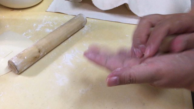 もちもち餃子の記事動画