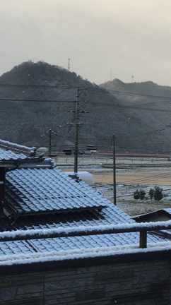 今朝の丹波の記事動画