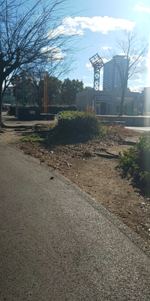 5歳1ヶ月　今月の英語ベビーシッター　さんの記事動画