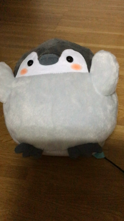 『壊されゆく子どもたち』の記事動画