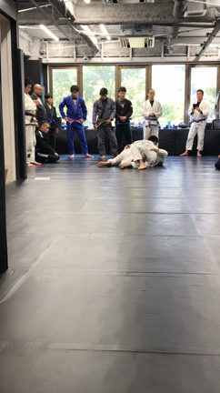 久留米 ＆ 福岡の記事動画