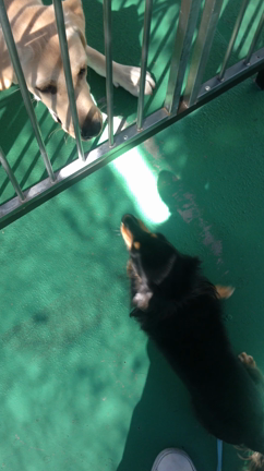 モモカちゃん☆の記事動画