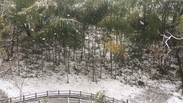 2020/03/29(日) 14時頃まで大雪の記事動画