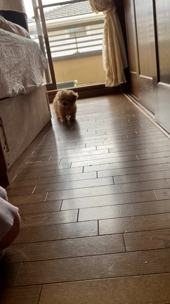 「やりたいことリスト」どのくらい実現できた？の記事動画