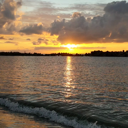 心をあわせての記事動画