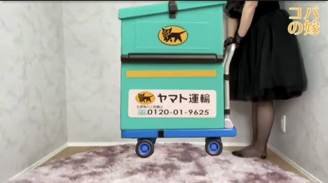 おはにゃんの記事動画