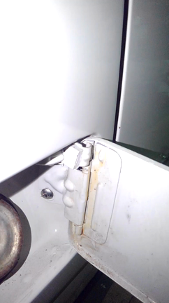 ワナ、罠、わなの記事動画