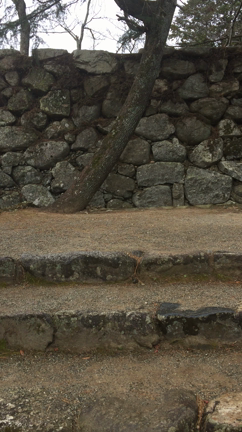 岐阜県各務原市 社労士 助成金 働き方改革に合わせて就業規則を変更しましょうの記事動画