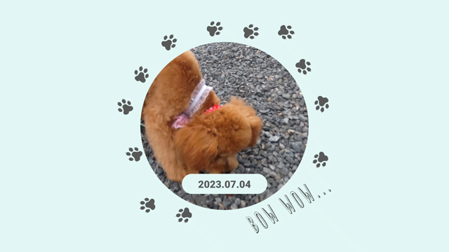 雨の合間に「くん活♡」の記事動画