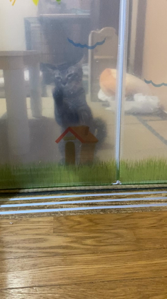 マジ、ありえない(私の管理が悪かった)の記事動画