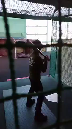 ラウンドわんの記事動画