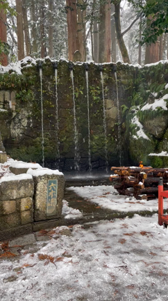 帰省しないで好きなことして過ごしたお正月の記事動画