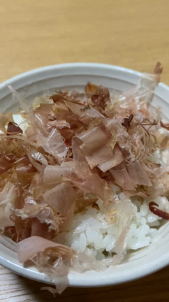 ご飯のお供はコレ！の記事動画