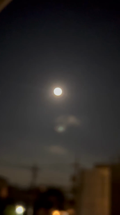 お月見できましたの記事動画