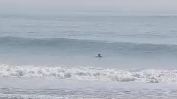 初めての症例の記事動画