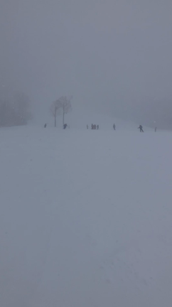 出発の記事動画