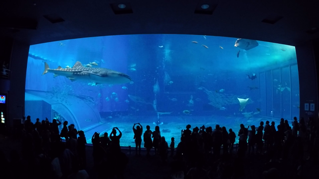 めんそーれーしまそーれの記事動画