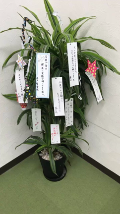 七夕の記事動画