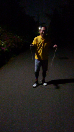 第9回、第10回、第11回しょ～もないチャレンジ企画の記事動画