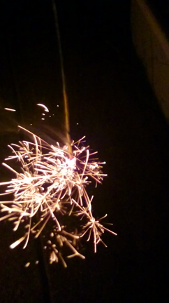 夏の余韻。大人の線香花火の記事動画