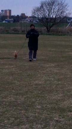 ロングブレスウォーキングの記事動画