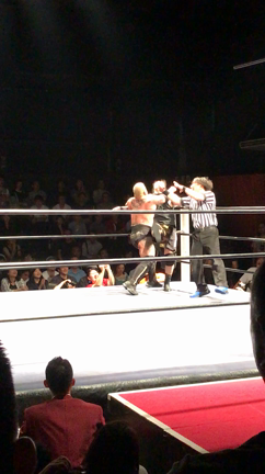 ランズエンドプロレスリング10月2日大会の記事動画