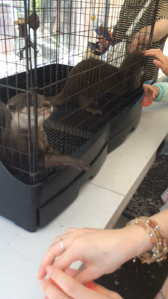 父の日の記事動画