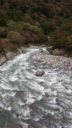 お久しぶりの記事動画