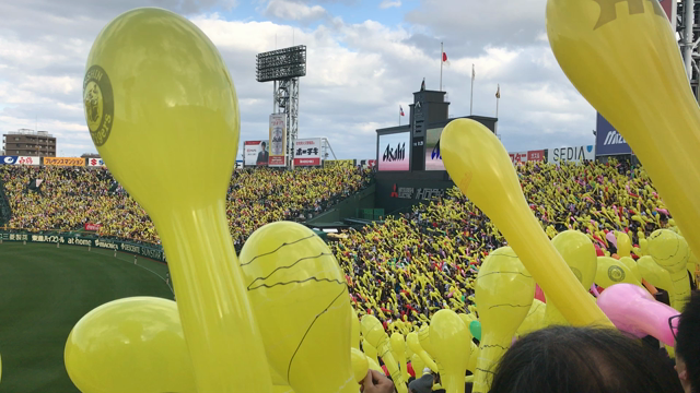 行ったことのある観光地の写真の記事動画