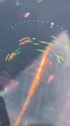 ◇7月22日 キハダキャスト◇の記事動画