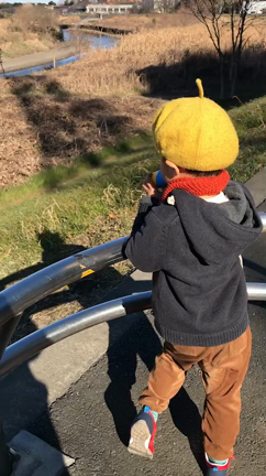 ハーフマラソンは…の記事動画