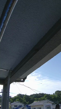 えー！の記事動画