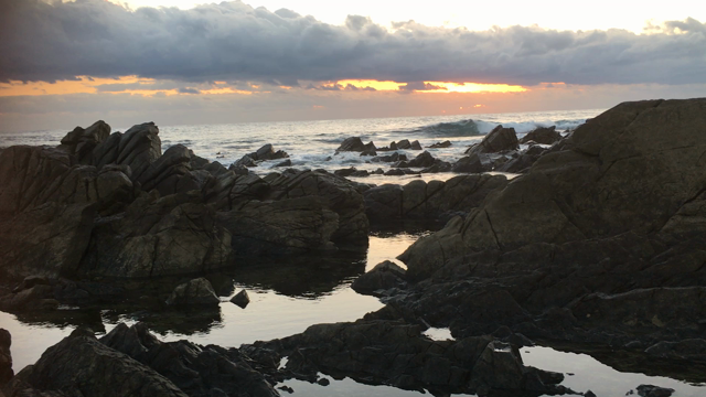 癒される。の記事動画