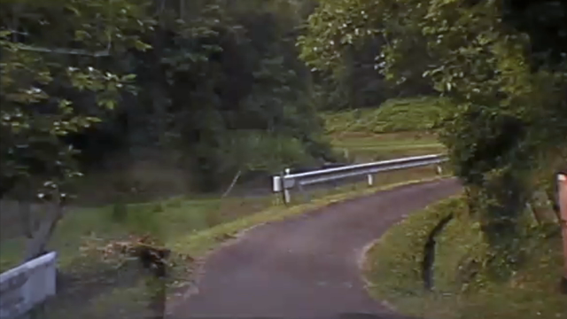 トレールカメラ~鹿・カモシカの記事動画