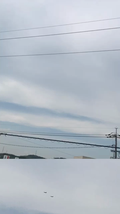 なんだろう…これは…っの記事動画