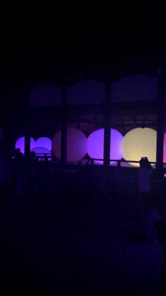 下鴨神社「糺すの森の光の祭」の記事動画