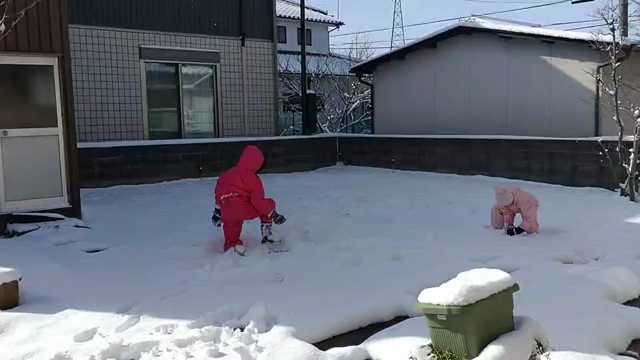 まだまだこれからの記事動画