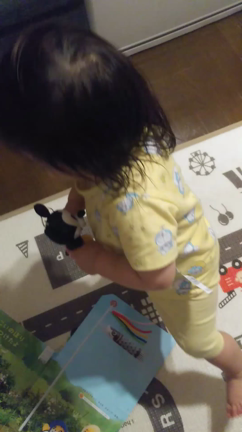 ぷちイングリッシュの謎のやつがお気に入りの記事動画