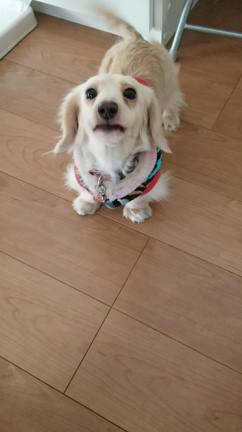 昔から変わらぬ味の記事動画