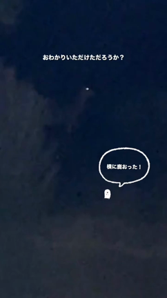 「おもいたったが吉日キャンプ」テントが届いてテンション爆上がりのTMK。はじめての自分...の記事動画