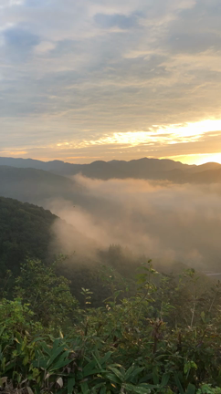 日本旅の記事動画