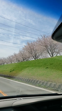 珍しく動画ありです( *´艸｀)の記事動画