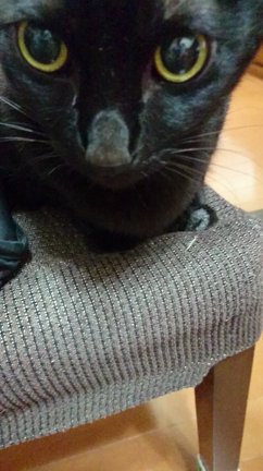 間違えて動画になってしまったの記事動画